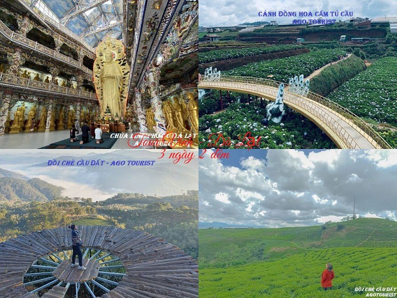 Tour Vinh đi Đà Lạt