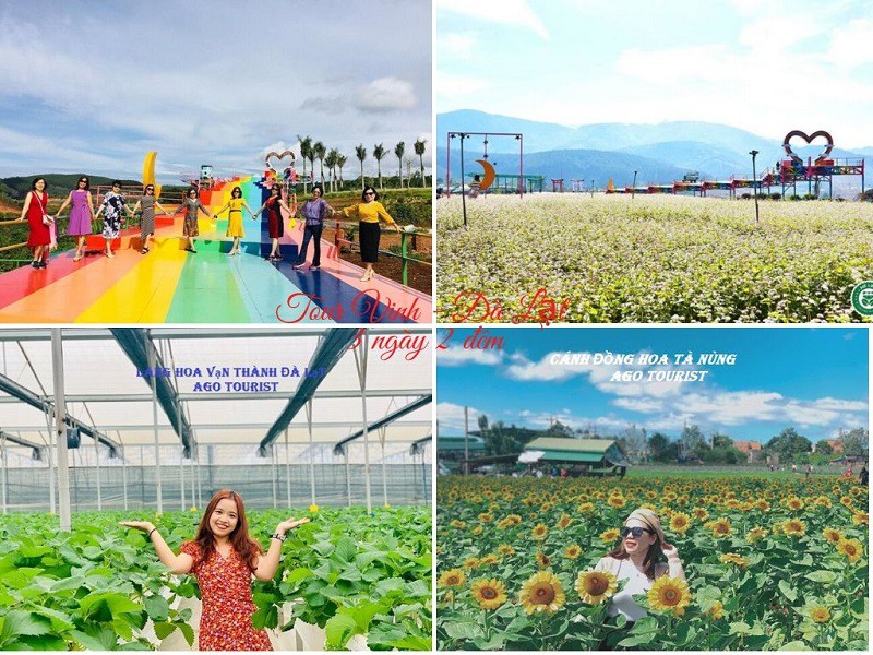 tour du lịch Vinh Đà Lạt