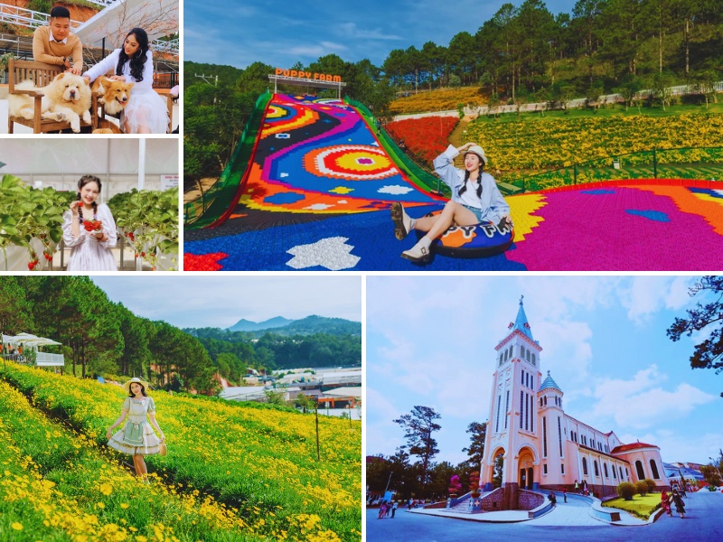 tour Nha Trang Đà Lạt 3 ngày 2 đêm trọn gói