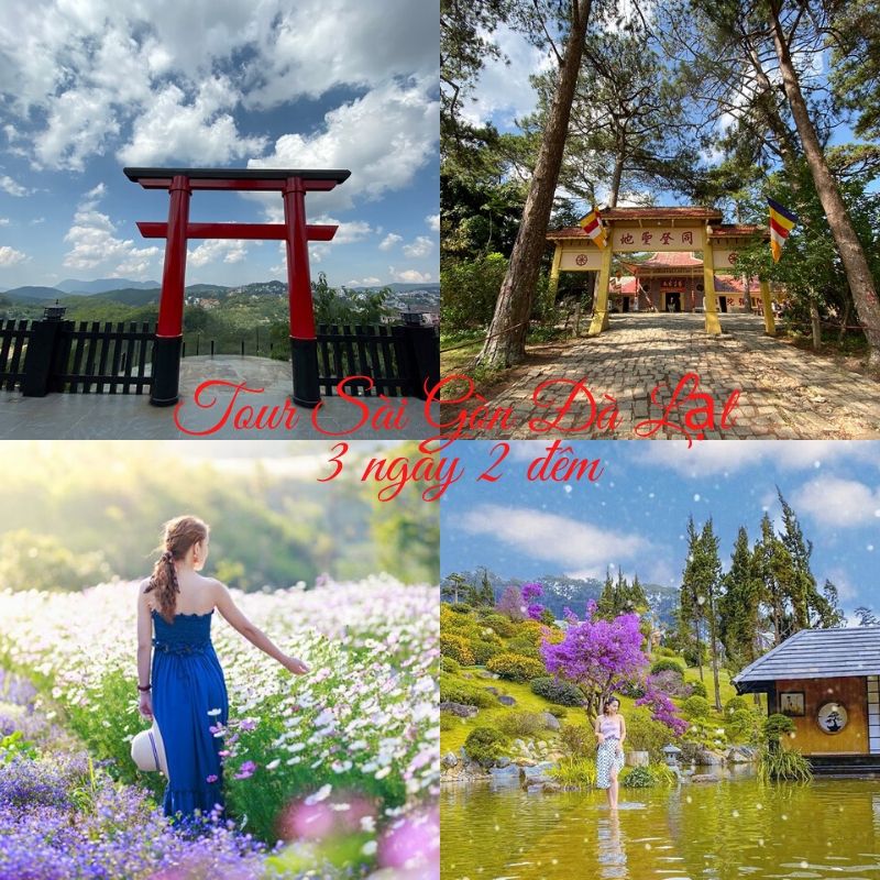 Tour du lịch Sài Gòn Đà Lạt 3 ngày 2 đêm