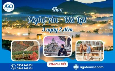 Tour Vinh Đà Lạt 3 ngày 2 đêm Tour Vinh Đà Lạt 3 ngày 2 đêm