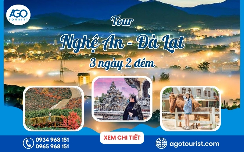 Tour du lịch từ Vinh (Nghệ An) đi Đà Lạt 3 ngày 2 đêm