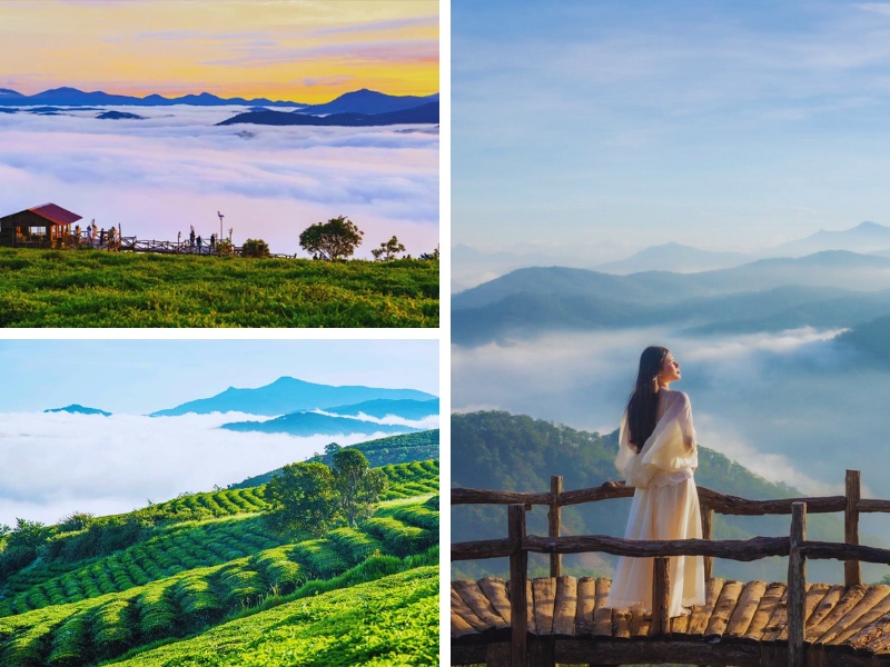tháng 7 ở Đà Lạt