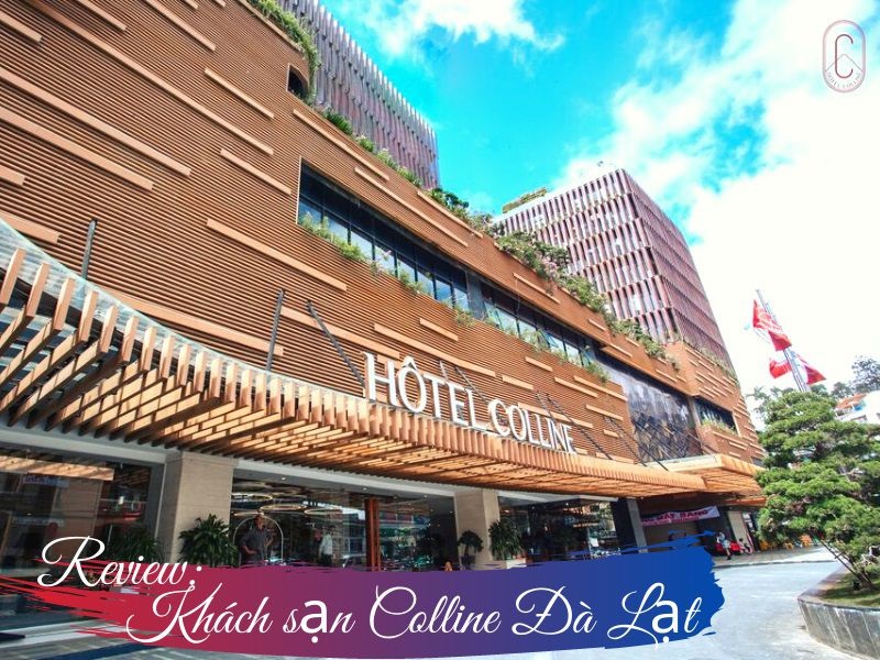 Review khách sạn Colline Hotel Đà Lạt - Bảng giá phòng năm 2021