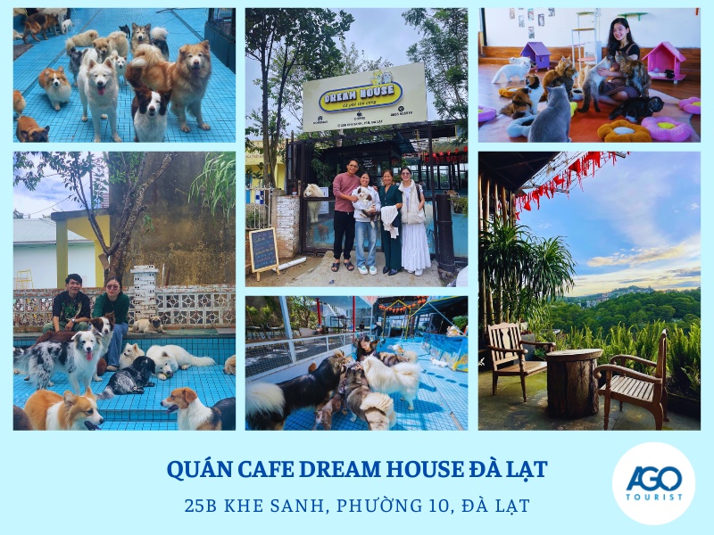 quán cafe thú cưng đẹp ở Đà Lạt
