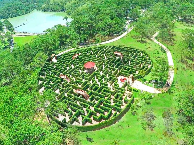 Mê cung tình yêu Đà Lạt