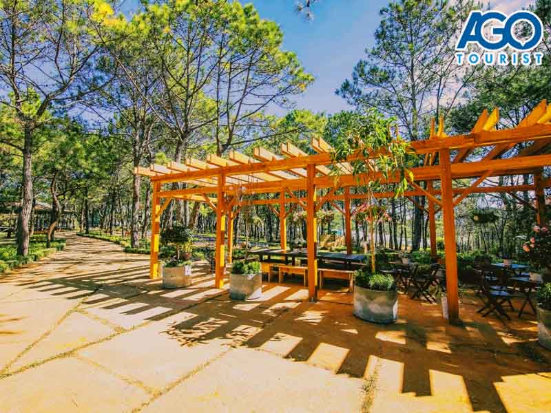 tour du lịch Đà Lạt 3 ngày 2 đêm