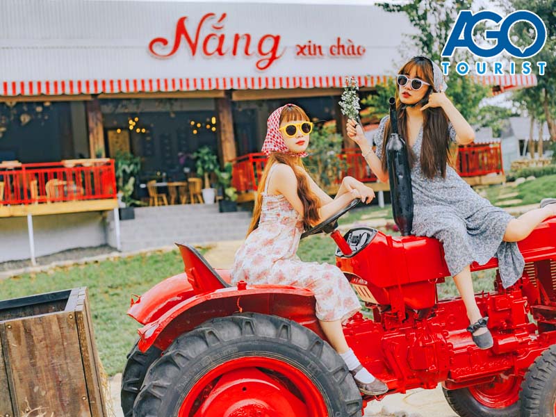 Tour đi săn mây Đà Lạt 1 ngày