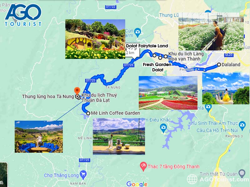 Địa điểm tham quan cùng hướng đi Thung Lũng hoa Tà Nung