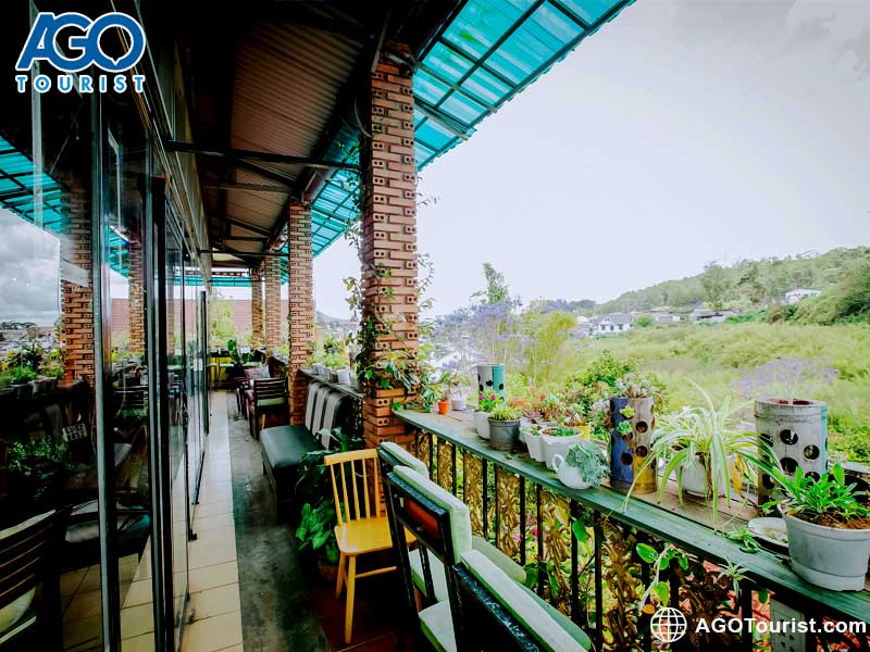 View đồi thông thoáng mát tại nhà hàng Memory Đà Lạt
