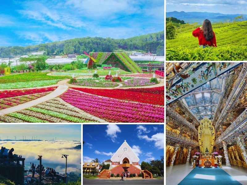 chương trình tour Phú Yên Đà Lạt 3 ngày 2 đêm