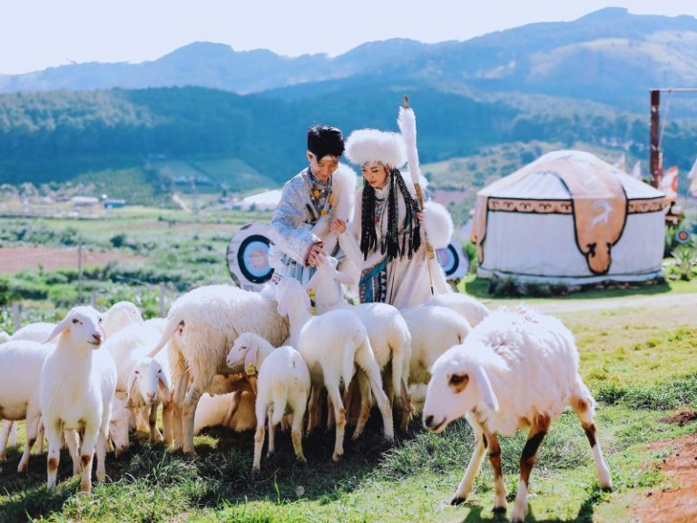 Mongoland Khám phá Mongo Land Đà Lạt - Giá vé tham quan 2026