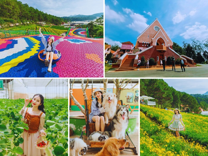 tour Bình Dương đi Đà Lạt