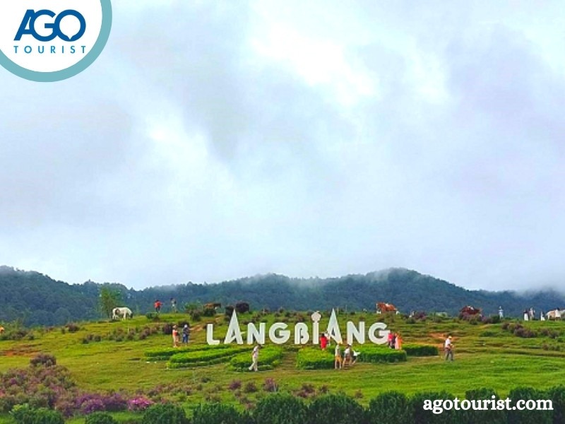 Tham quan những địa điển nổi tiếng của Đà Lạt Tour du lịch Bình Dương Đà Lạt