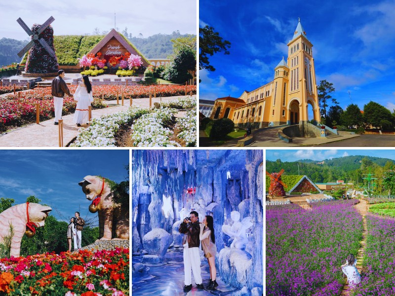 tour du lịch Bình Dương Đà Lạt 3 ngày 2 đêm