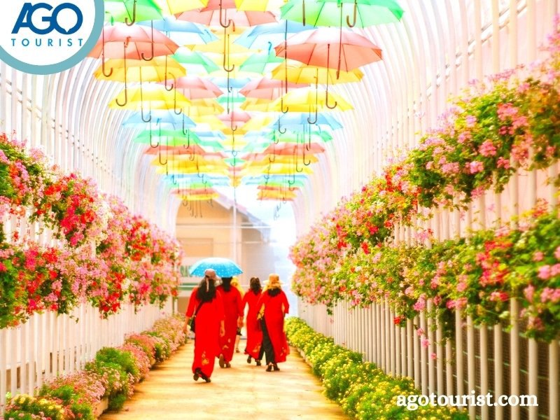 Tham quan làng hoa Vạn Thành Tour Tây Ninh đi Đà Lạt 3 ngày 2 đêm