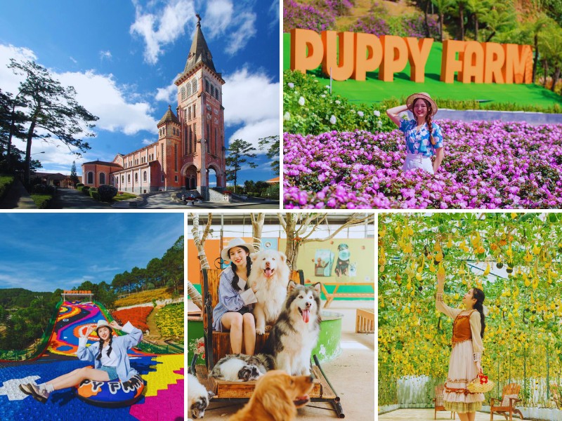 Tour Cà Mau Đà Lạt