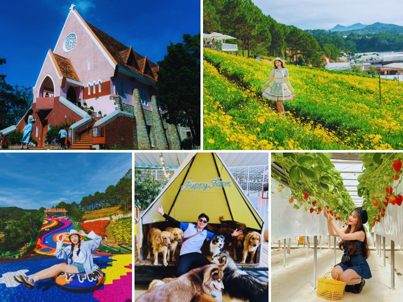 tour du lịch Bến Tre đi Đà Lạt 3 ngày 2 đêm