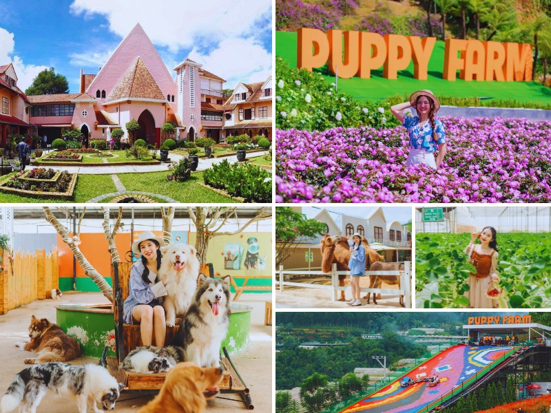 tour du lịch Bình Phước Đà Lạt 3 ngày 2 đêm