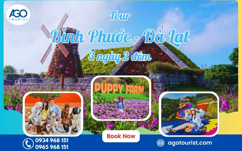 Tour du lịch Đồng Xoài (Bình Phước) Đà Lạt [Trọn gói 3n2d]