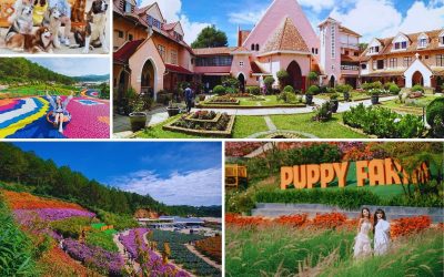 tour du lịch Buôn Mê Thuột Đà Lạt 3 ngày 2 đêm