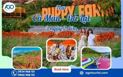 Tour du lịch Cà Mau Đà Lạt