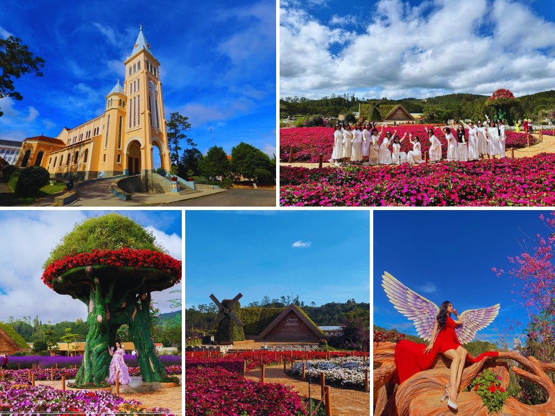tour du lịch từ Bến Tre đi Đà Lạt 3 ngày 2 đêm