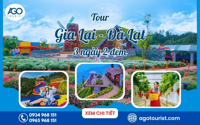 Tour du lịch từ Pleiku – Gia Lai đi Đà Lạt [Trọn gói 3n2d]