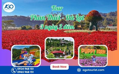 Tour Phan Thiết Đà Lạt