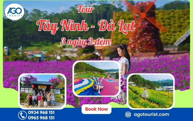 Tour Tây Ninh Đà Lạt 3 ngày 2 đêm [Trọn Gói + KS 3 sao]