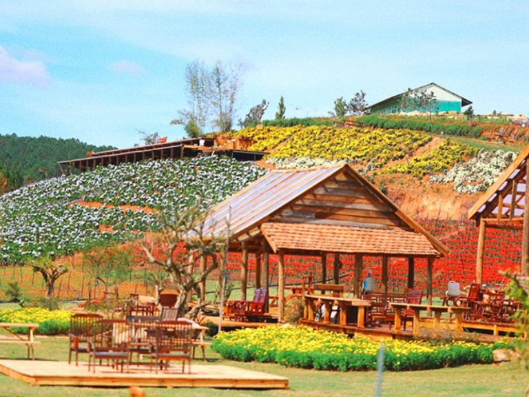 The Florest - Hoa Trong Rừng Đà Lạt: Hướng dẫn đường đi và giá vé