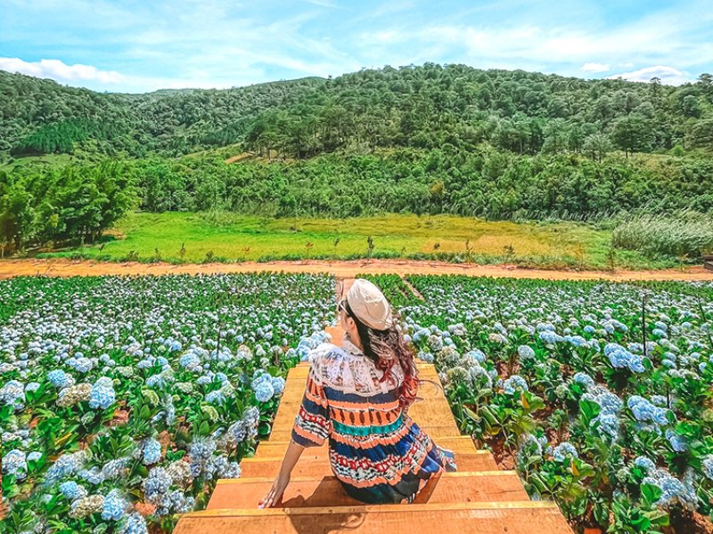 The Florest - Hoa Trong Rừng Đà Lạt: Hướng dẫn đường đi và giá vé