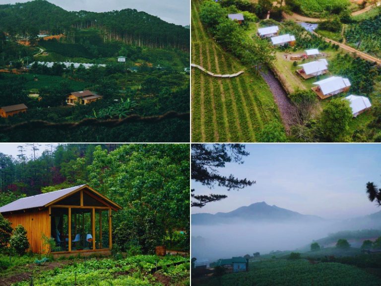 10 địa điểm glamping Đà Lạt có view đẹp nhất mùa này