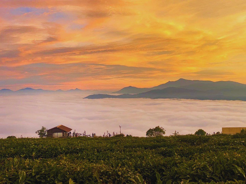 đi tour Đà Lạt 3 ngày 2 đêm