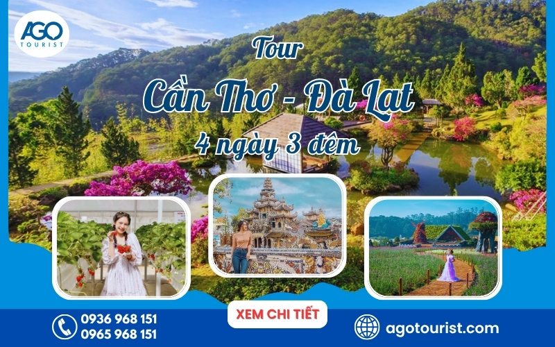 Tour du lịch từ Cần Thơ đi Đà Lạt 4 ngày 3 đêm [Bao Trọn Gói]