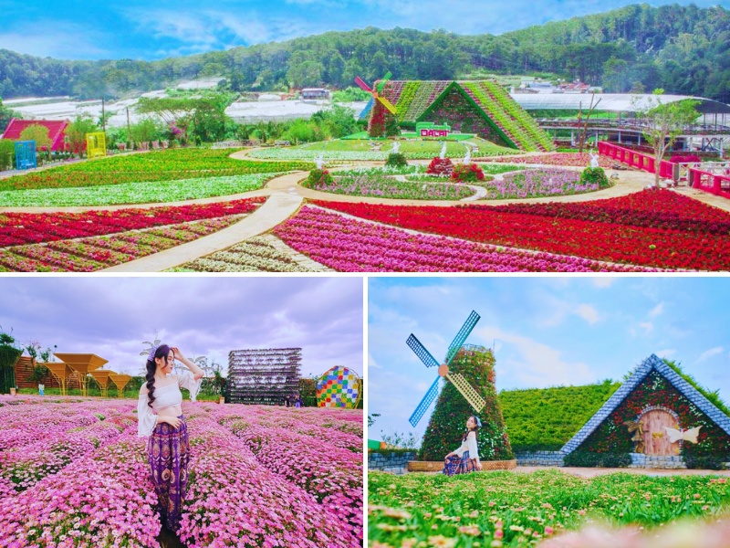 tour Đà Lạt 4 ngày 3 đêm từ Cần Thơ