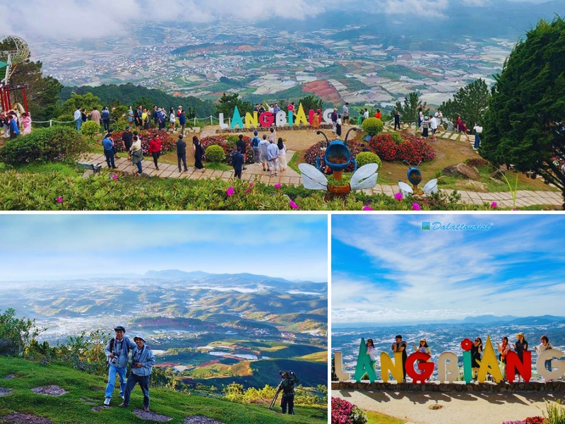 tour du lịch Cần Thơ Đà Lạt 4n3d