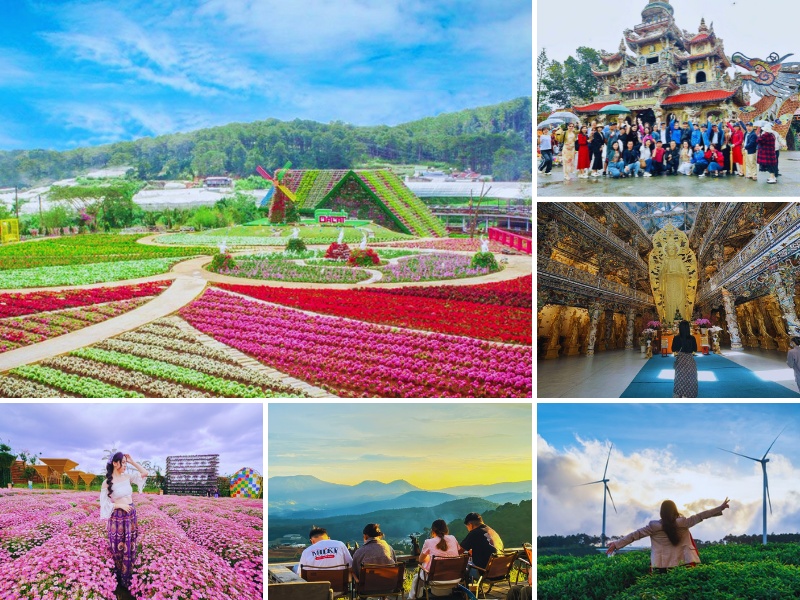 tour du lịch từ Đà Nẵng đi Đà Lạt 4 ngày 3 đêm