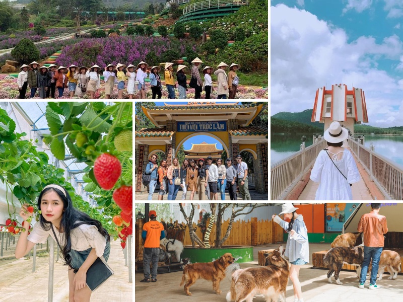 tour Đà Lạt 3 ngày 2 đêm khởi hành từ Quảng Nam