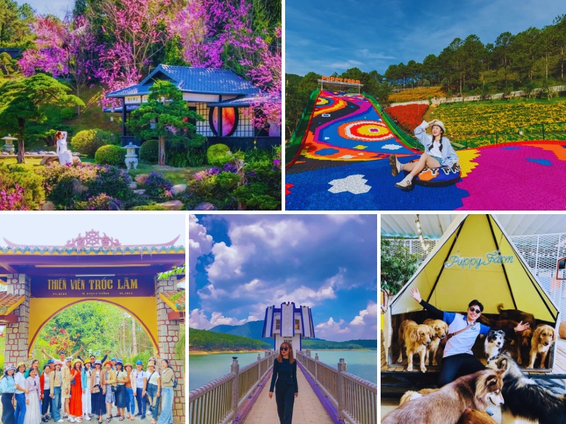 tour từ Tuy Hòa - Phú Yên đi Đà Lạt 4 ngày 3 đêm