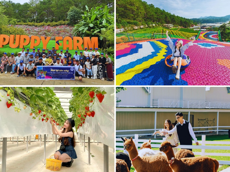 tour Đà Lạt từ Quảng Bình
