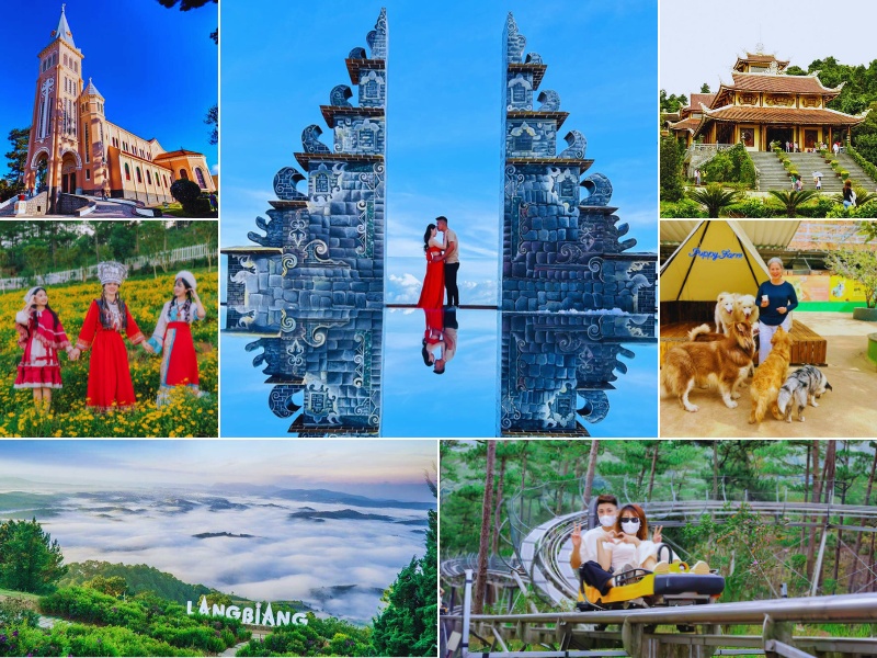Tour từ Đà Nẵng đi Đà Lạt 2 ngày 1 đêm [Trọn gói đi xe giường nằm]