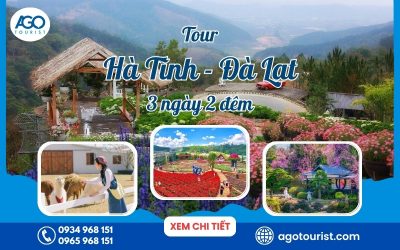 Tour Hà Tĩnh Đà Lạt 3 ngày 2 đêm Tour Hà Tĩnh Đà Lạt 3 ngày 2 đêm