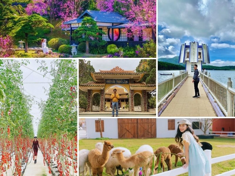 tour Hà Tĩnh Đà Lạt 3N2Đ