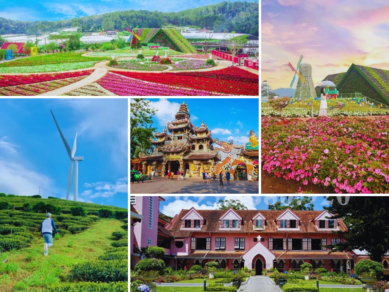 tour du lịch Huế Đà Lạt 4 ngày 3 đêm