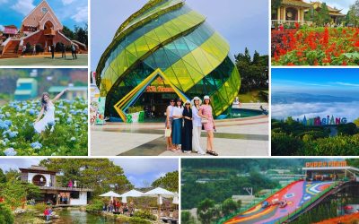 tour Quảng Bình Đà Lạt