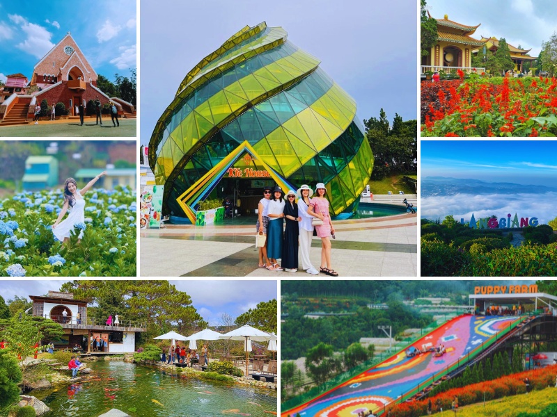 tour Quảng Bình Đà Lạt