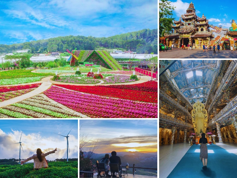 tour Quy Nhơn - Bình Định đi Đà Lạt 4 ngày 3 đêm