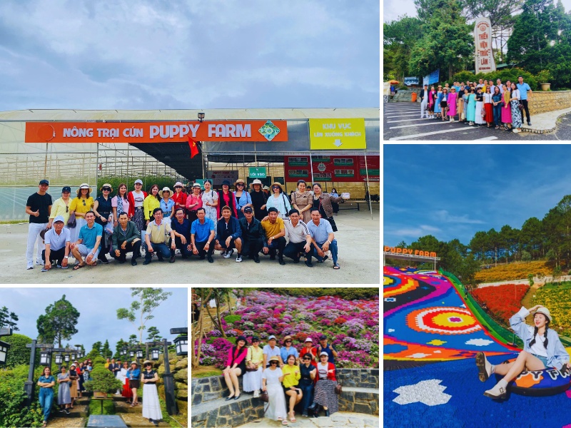 tour Quy Nhơn Đà Lạt 4 ngày 3 đêm