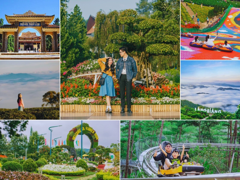 tour từ Quảng Ngãi đi Đà Lạt